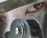 육군 1사단, 내달 1∼5일 파주 일대서 혹한기 훈련