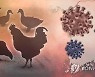 남양주 닭 농장 '예방적 살처분 거부' 행정소송(종합)