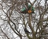 BRITAIN HS2 PROTEST