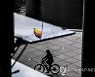 BERLIN DAILY LIFE