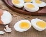 아침에 삶은 계란 1-2개.. "최고급 단백질 함유"