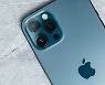 애플, '5G 아이폰' 힘입어 스마트폰시장 1위