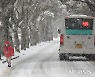 제주 산지 대설·강풍특보..낮 최고기온 4~7도