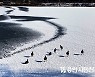 대한과 입춘 사이- 대한에 매듭짓고 입춘에 새로 시작하길