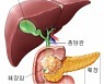 만성 췌장염 환자, 췌장암 위험 16배..정기검진 필수