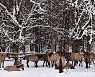 POLAND ANIMALS