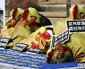 "닭 1만마리 살처분 멈춰달라" 농장의 가처분 신청..법원 '기각'