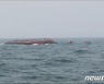 군산 해상서 무동력선박 전복..선원 1명 실종