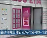 작년 울산 아파트 매입 40%가 외지인..1.8%p↑