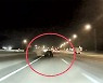 [영상] 비틀대며 시속 200km 질주..시민 추격해 검거