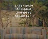 양지은 '사는 맛' 미리 듣기