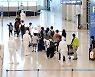 코로나19 신규확진 635명..전날보다 124명 늘어