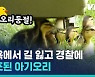 [비디오머그] 뉴욕 맨해튼 도심에서 경찰을 뒤따라 가는 엄마 오리의 사정