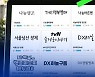 [스브스뉴스] 무료 폰트도 잘못 쓰면 고소당할 수 있다?
