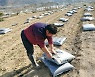 곡성군 자체생산 가축분 퇴비..구례·순천까지 공급