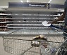 Britain Economy