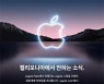 "갤Z플립3 돌풍 심상찮다"..애플 비장의 카드 던질까?