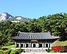 사찰림의 생태·문화적 가치는?..'천년 숲의 비밀' 방송