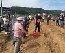 '인삼 갈아엎는 농가' 가격 폭락에 생산기반 '흔들'