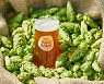 핸드앤몰트, 갓 딴 '생 홉'으로 만든 '하베스트 IPA' 한정 판매