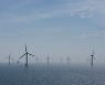 바람 때문에..유럽, 풍력발전량 감소에 에너지 가격 사상최고