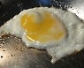기억력 향상하고 탈모 막는, 계란 노른자의 힘