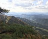 9월의 국유림 명품숲, 영월 '태화산 경관숲' 선정