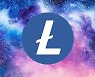 "월마트, 라이트코인 결제 허용" 가짜 보도자료에 시장 출렁
