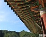[포토친구] 수타사의 가을 햇살