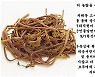 "돈 욕심에.. 다시 인정받도록 열심히" 원산지 속여 판 식당의 진솔한 사과문?