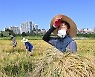 수확의 기쁨