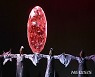 국립창극단 '흥보전' 미장센의 향연