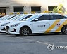 "카카오 택시 호출 플랫폼 시장 독점"