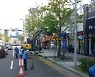 부산광역시, 은행나무 열매 조기 채취로 시민 불편 해소