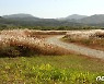 충북 충주 비내길·영동 금강둘레길 가을 비대면 관광지 선정