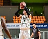 [KBL컵] '3점슛 18방' DB, 한국가스공사 제압..현대모비스와 준결승