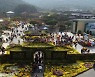 영암군, 가을철 '월출산국화·마한 축제' 취소