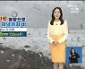 [날씨] 울산 태풍 '찬투' 영향..내일 저녁까지 비