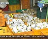 수확 앞두고 태풍 북상..낙과 피해 우려