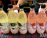 인제 고로쇠로 만든 막걸리..MZ세대 대세될까 주목