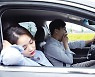 운전땐 잠, 성묘땐 벌·뱀..'사소한 방심'이 안전 추석 망친다