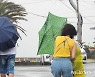 서귀포 초속 22.3m 강풍, 피해 속출
