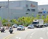 백신·임플란트 영향..8월 대구·경북 수출 증가