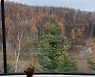 휘닉스 평창, 가을 놀랄 만한 여행상품 출시