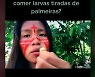 아마존 20대 女 원주민이 틱톡서 스타 된 비결..'이걸 먹는다고?'