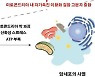 UNIST, 인공 단백질 고분자 만들어 암세포만 죽이는 기술 개발
