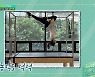 이민영 "필라테스 경력 20년, 자격증 있어" ('편스토랑')