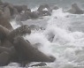 [날씨] 태풍 '찬투' 남해로 이동..남해안 비바람 강해져