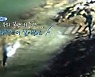"우리 밥 먹으러 가요".. 경찰관 따뜻한 한마디가 극단 선택 막았다