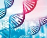 [신문과 놀자!/눈이 커지는 수학]수학으로 예측한 DNA 염기 서열 '세 글자 암호'의 법칙